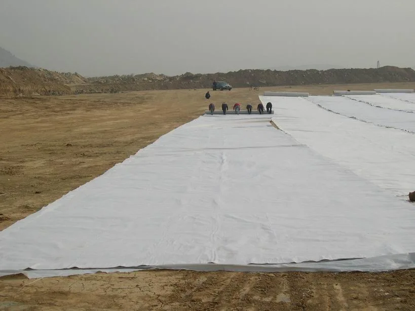 High Quality Polypropylene/Polyester Fabric Non Woven Geotextile for Road Construction