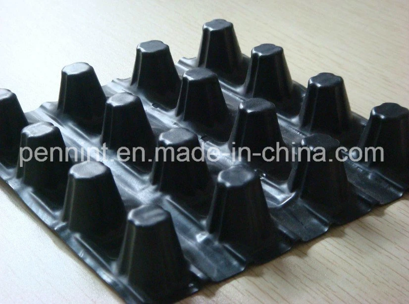 Best Selling Good Quality HDPE Dimple Drainage Board for Earthwork