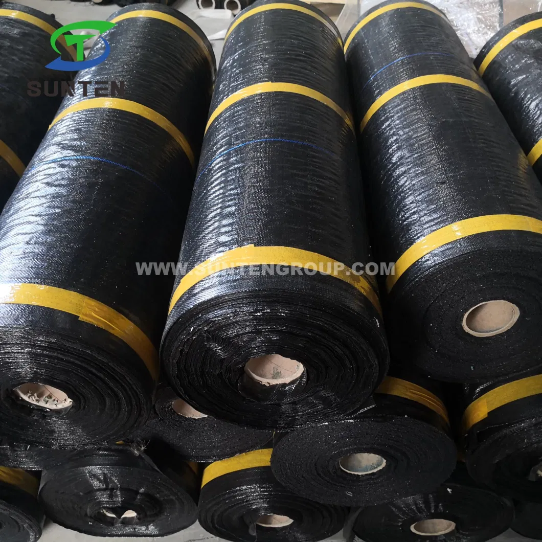 EU Standard Anti UV Black/Green/White PP/PE/Plastic Woven Weed Control Geotextile/Anti Grass/Fabric for Agriculture/Garden/Landscape