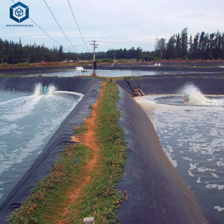 HDPE LDPE LLDPE PVC Water Pond Plastic Polyethylene Geomembrane Impermeable Liner Sheet for Fish Farming Pond