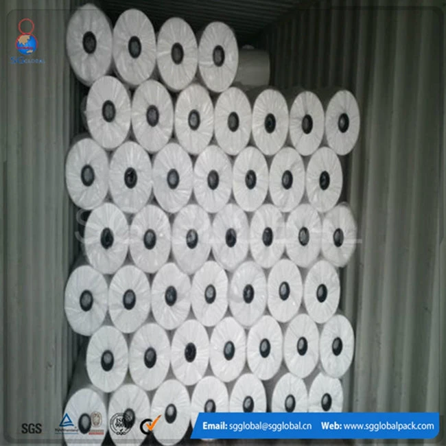 GRS Supplier 100% Polyester Needle Punch Non Woven Geotextile in Roll