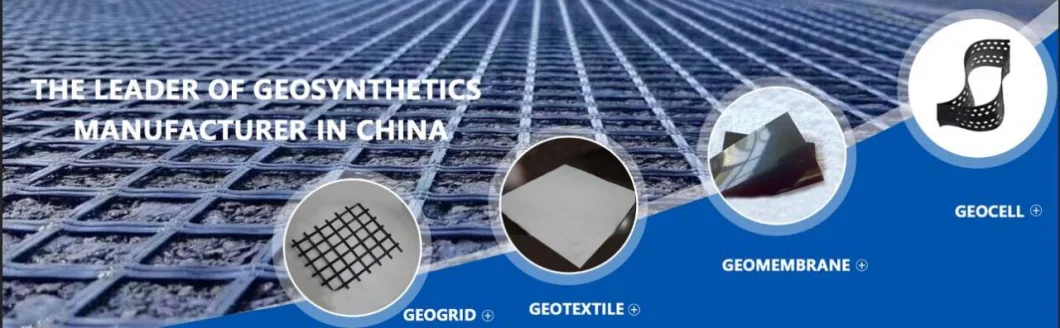 Warp-Knitted Polyester Geogrid Pet Biaxial/ Uniaxial Geogrid