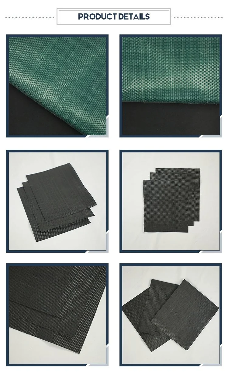 China Factory Supply Polyester Pet High Strength PP Woven Geotextile Fabric for Soil Reinforcement