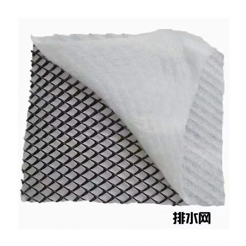 China Factory Plastic Black Green Geonet Erosion Control Geomat Composite Blanket