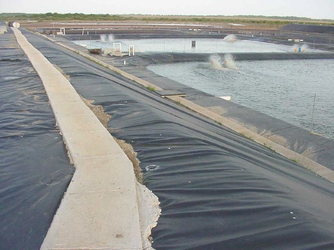 Building Material HDPE Smooth Blue Film Geomembrane for Fish Pond.