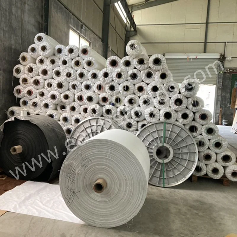 China Factory Supply Polyester Pet High Strength PP Woven Geotextile for Soil Reinforcement