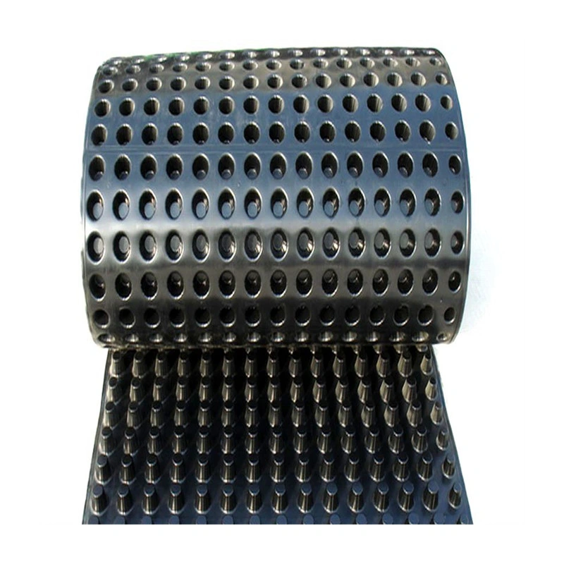 China Factory Drainage Mat Virgin HDPE Dimple Drain Board for Earthwork Projets