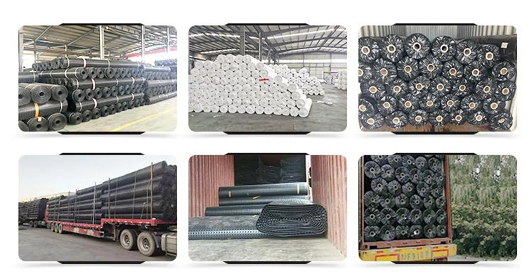 High Tensile Strength Plastic PP Biaxial Geogrid
