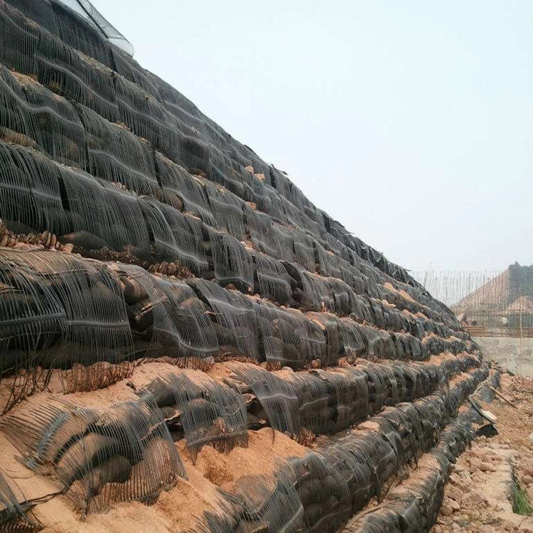 Jubo Polyester Roll HDPE Geogrid for Driveway Construction Supplier