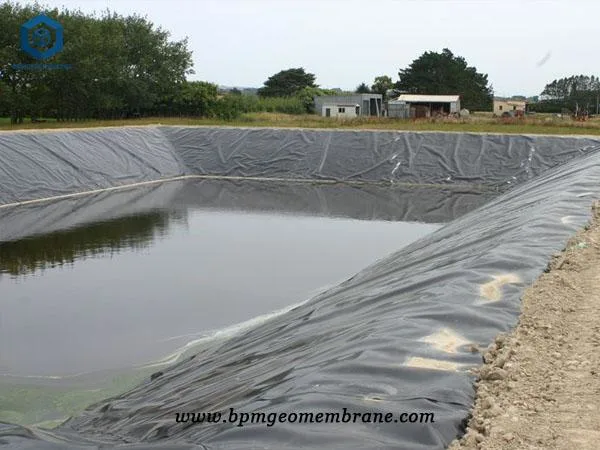 High Density HDPE Waterproofing Membrane Geotech Membrane for Biogas Plant Project in Peru