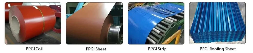 Zinc Aluminum Al-Zn Coated Metal Sheet PPGL 0.3mm Galvanize Steel Coil Color Coated PPGI Ral 9016