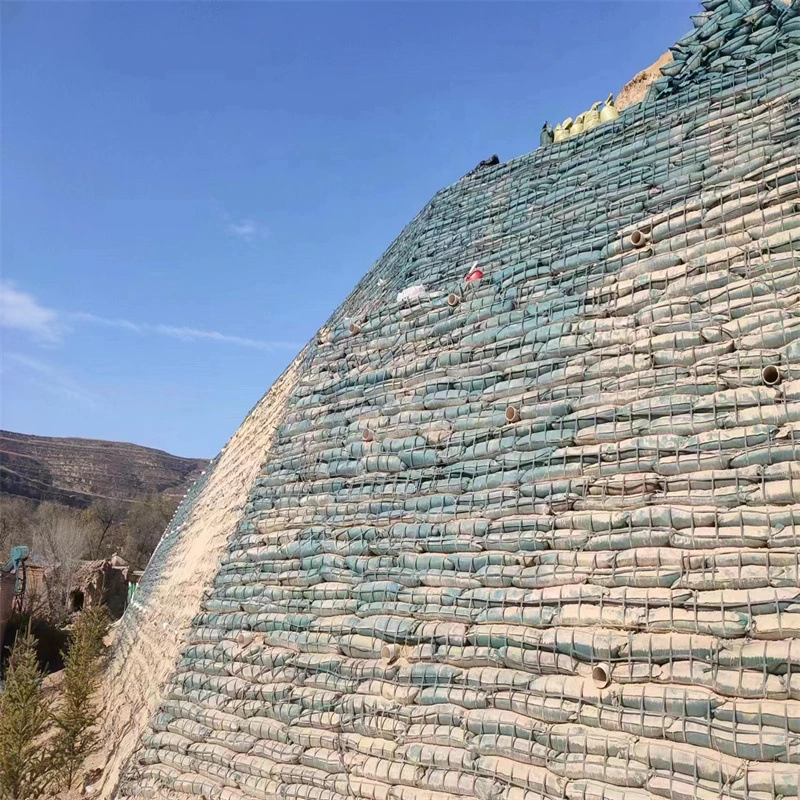 Clustered Geogrid/High-Tenacity Polyester Yarn Clustered Grid for Retaining Wall/Embankment Stabilization