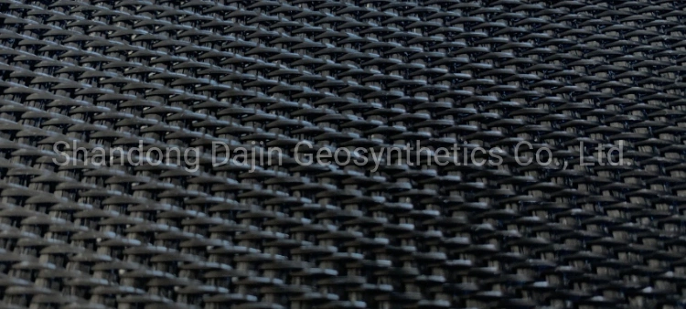 Pet PP Woven Geotextile for Soil Erosion Control Mine Landfill Coast Geotube Embank