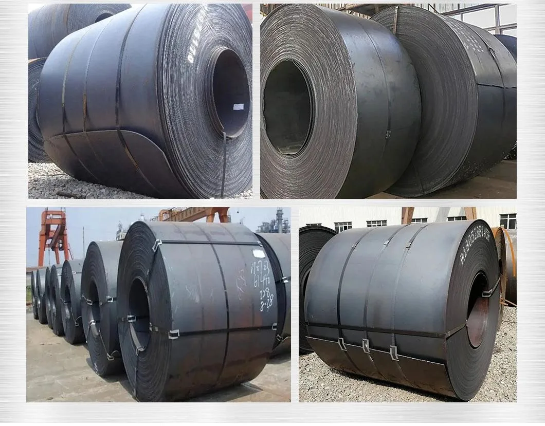 Manufacturer 304 316L Hot/Cold Rolled/Stainless/PPGI, PPGL, Gi/Color Coated/Tinplate/Galvanized/Carbon/Zinc Coated/Galvalume/Steel Coil