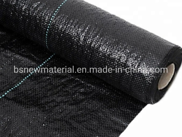 100g PP Woven Geotextile Used for Weed Control Mat/Weed Mat Barrier, Good Price