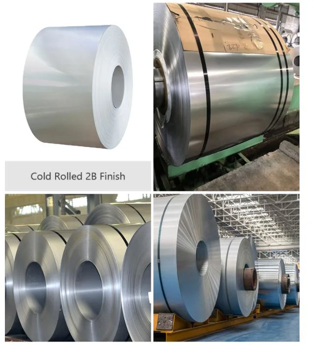 304 316L Hot/Cold Rolled/Stainless/PPGI, PPGL, Gi/Color Coated/Tinplate/Galvanized/Carbon/Zinc Coated/Galvalume/Steel Coil