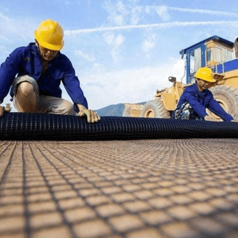 Chuangwan High Quality New Marerial Fiberglass Geogrid Frees Ample