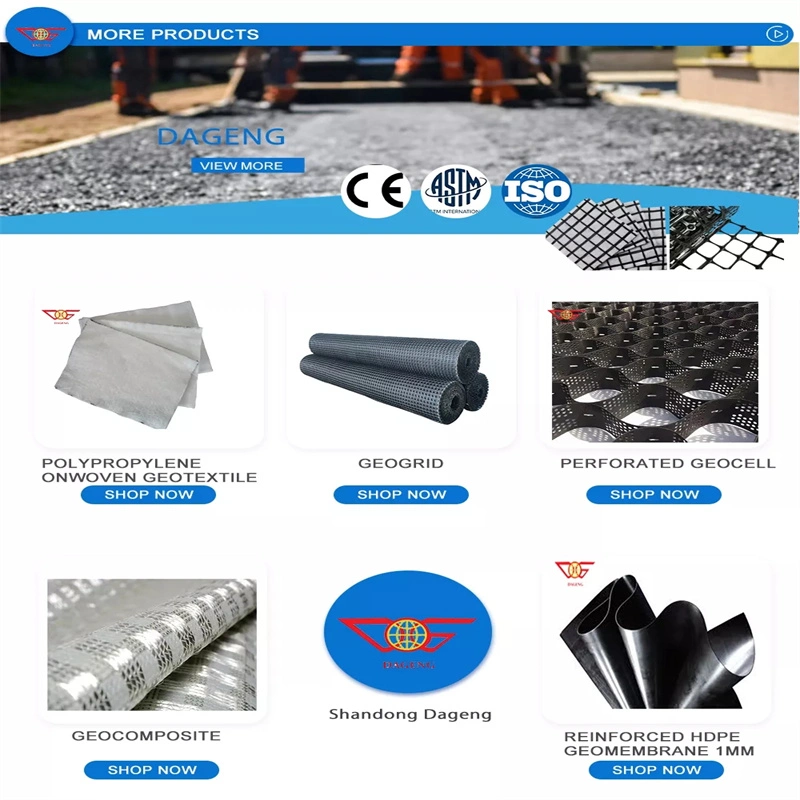 High Tensile Strength Polyester Geogrid