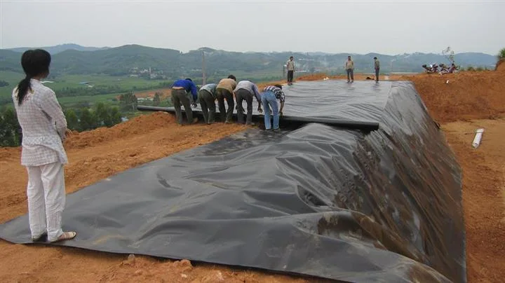 Building Material HDPE Smooth Blue Film Geomembrane for Fish Pond.