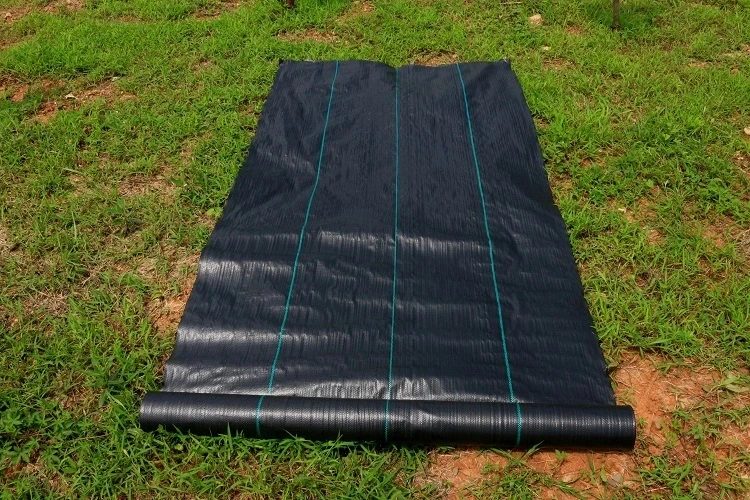 200G/M2 UV Protection Wholesale Weed Mat Ground Cover Silt Fence Black Fabric Plastic PP Woven Geotextile