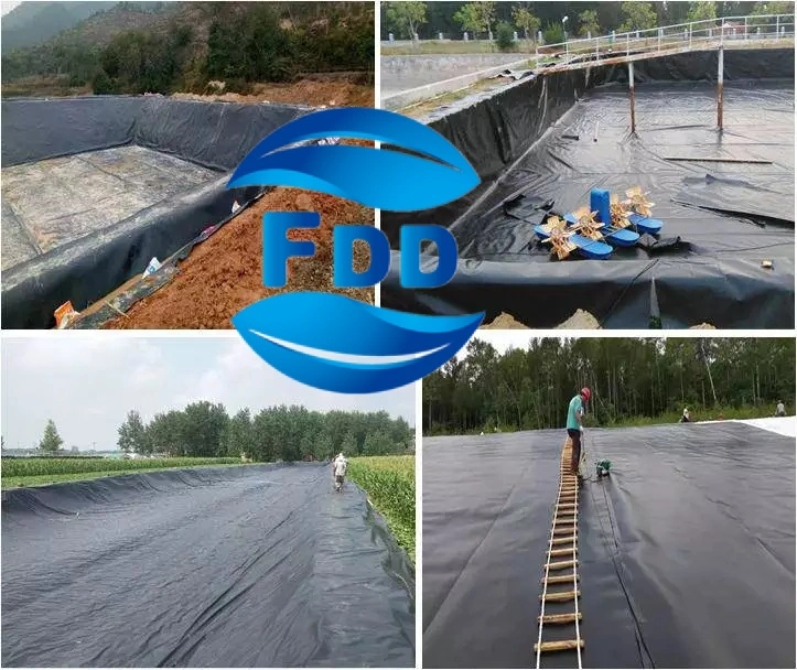 FDD GM13 40mil 60 Mil 80 Mil HDPE Geomembrane LLDPE Geomembrane Smooth/Textured Geomembrane Manufacturer