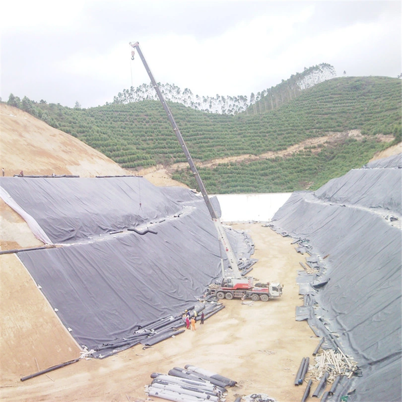 Geotextile Liner Ponds Fish Tank Double Sides Textured Geomembrane HDPE 1mm Lake Pond Liner