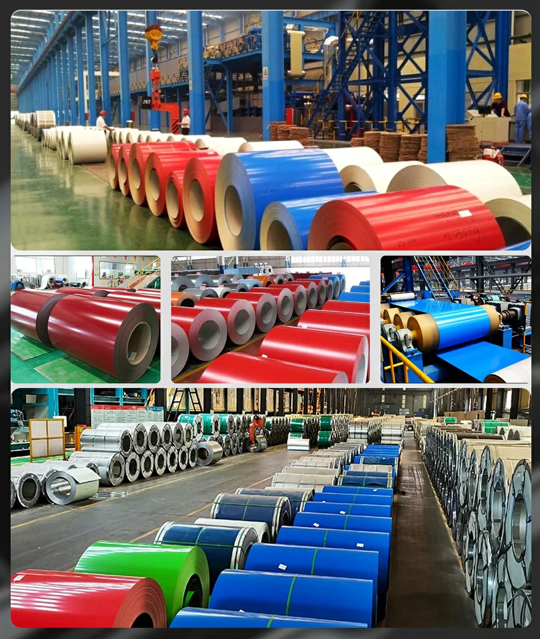 China Manufacturer Prepainted Galvanize Best Sell High Quality PVC Coated Wire Mesh Roll Galvanized Color Coating