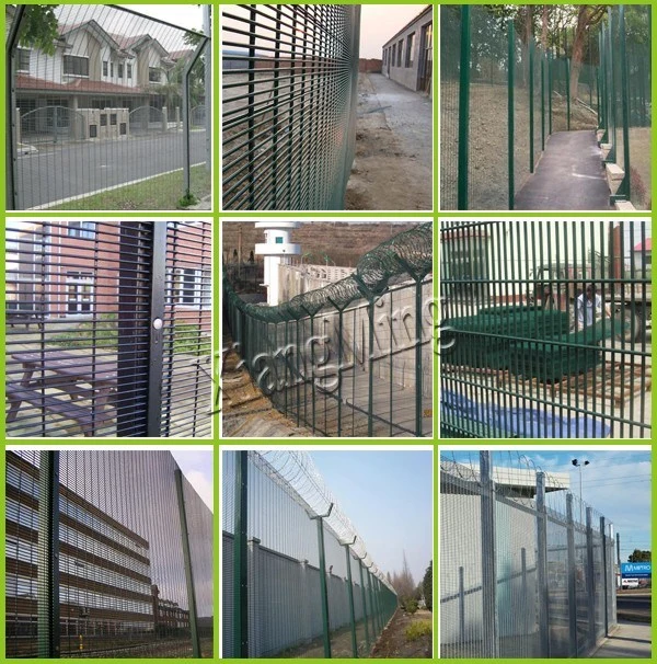 China Powder Coated Hot Sale High Quality 358 Security Fence