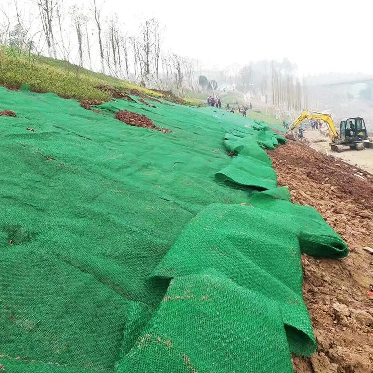 Slope Protection Erosion Control Mat Drainage 3D Geomat