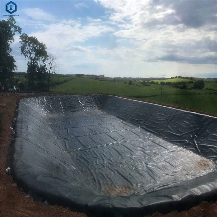 Geotechnical Fabric HDPE Geotech Geomembrane for Artificial Lake Project in Zambia