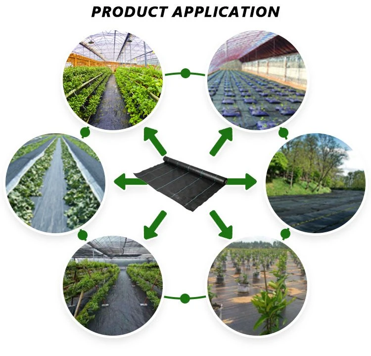 China Factory Wholesale Durable White Black PP Woven Geotextile Weed Control Mat Ground Cover Weed Barrier Landscape Fabric