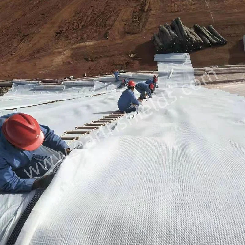 High Tensile Strength Polyester Woven Geotextile for Road/Railway Construction
