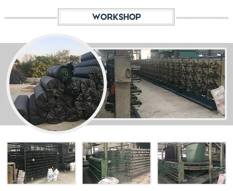 China Factory Supply Polyester Pet High Strength PP Woven Geotextile Fabric for Soil Reinforcement