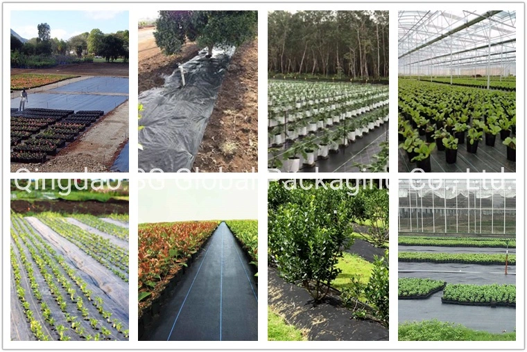 Woven Fabric Geotextile Weed Control Ground Cover Silt Fence Non Woven Fabric Stabilization PP Woven Geotextile for Soil Reinforcement Grass Prevention