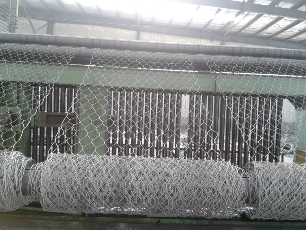 Gabion Box/Gabion Mesh/Hexagonal Wire Mesh/Gabion