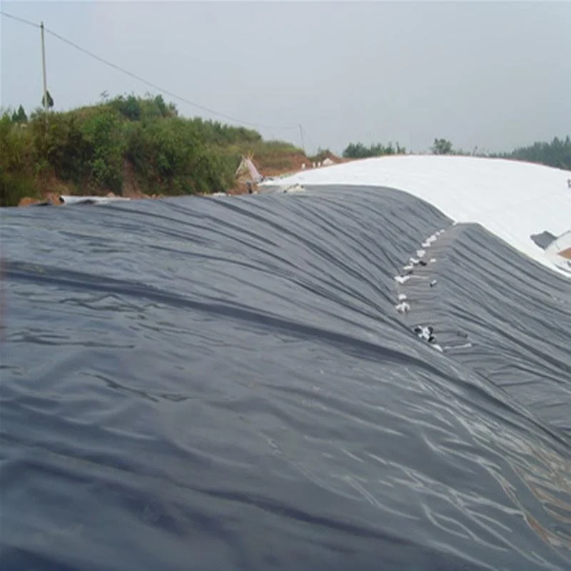 0.5mm 1.0mm 1.5mm 2.0mm Factory Supply Free Sample Cheap HDPE Waterproof and Impermeable Membrane