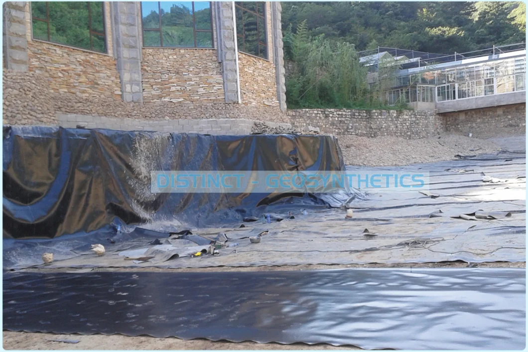 Geocomposite /HDPE Geomembrane Pond Liner/Geogrid Road Construction Material