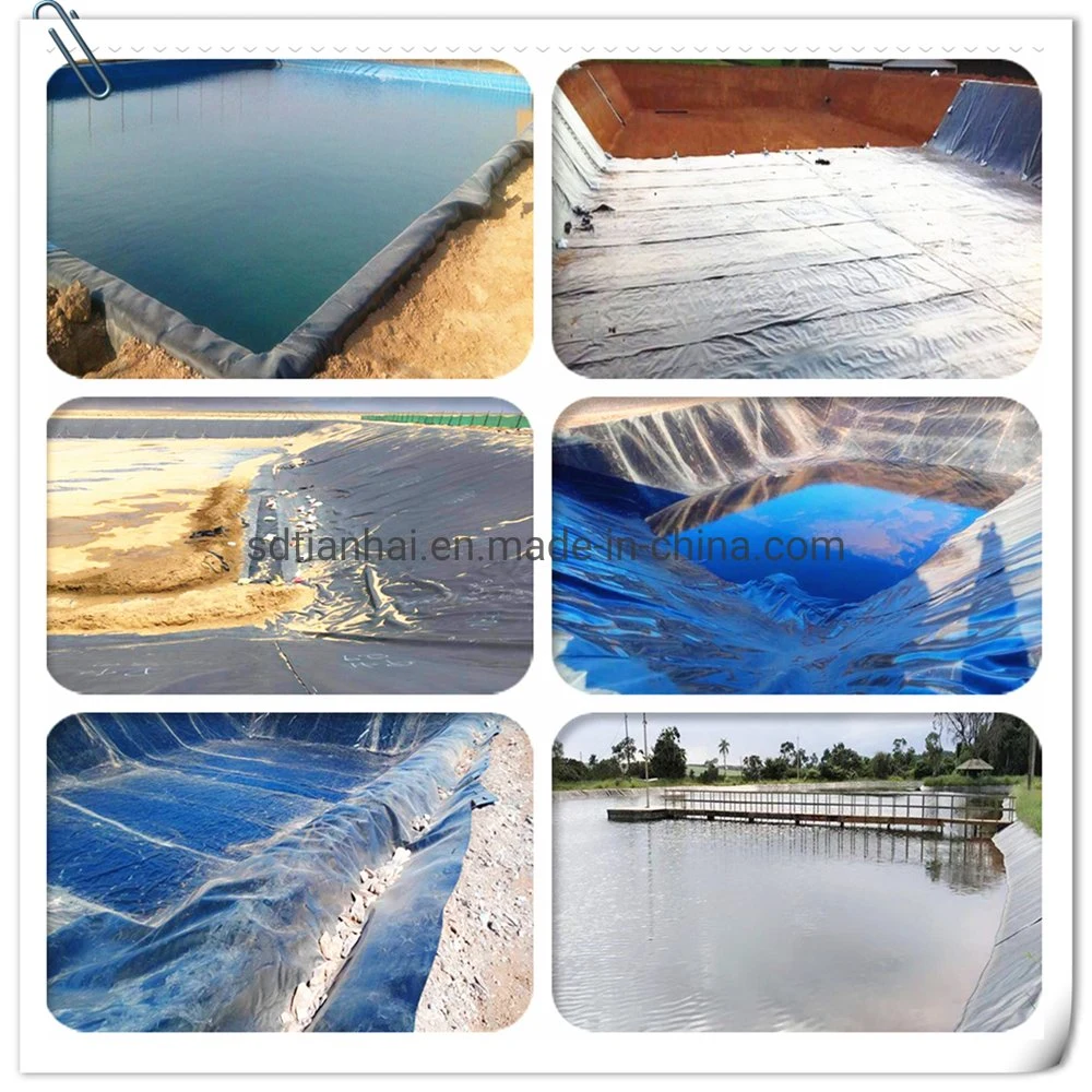 Geomembrane Factory Produces HDPE Waterproofing Membrane