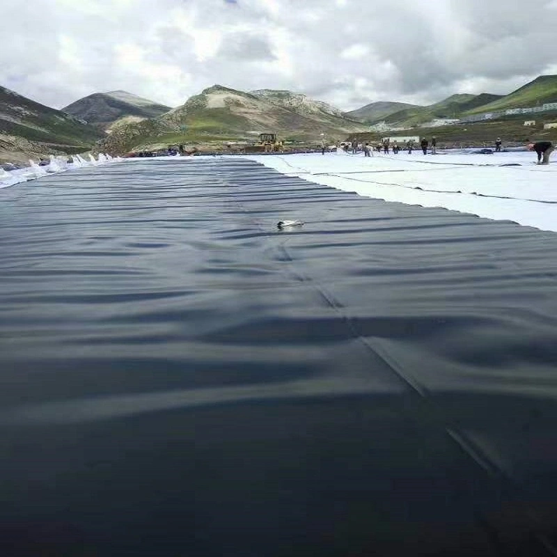 Impermeable HDPE Smooth/Textured 0.3/0.5/1.0/1.5/2.0mm Geomembrane for Reservoir/ Pond Waterproof Liner