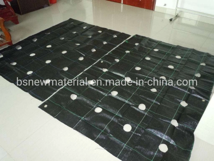120GSM PP Woven Geotextile, Black