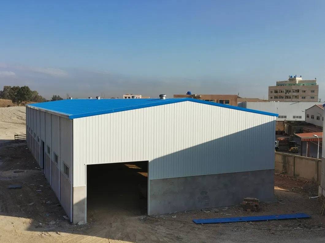 High Quality and Modern Steel Structure Factory Plant /Factory Workshop