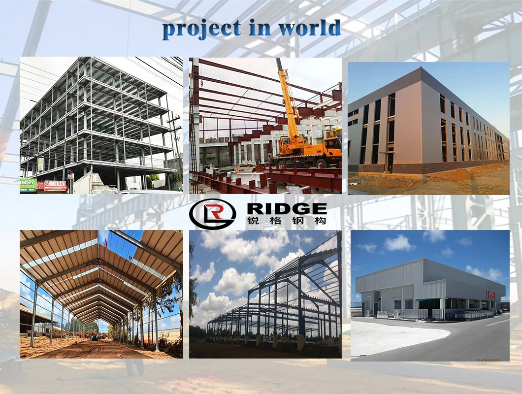Steel Structure Prefabricated Plant Area