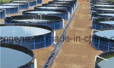 60 Mil HDPE Geomembrane / 60 Mil HDPE Liner Experienced Manufacture