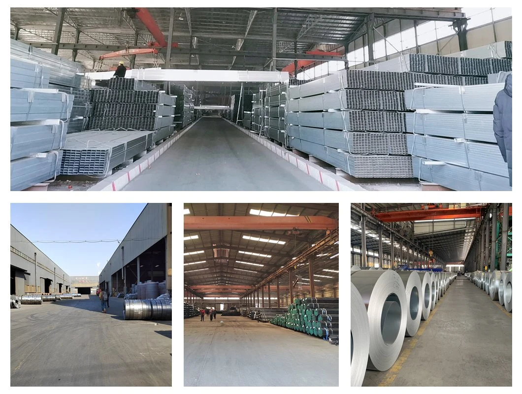 Prepainted Galvanized Steel Coil Factory/Sheet/PPGI/Dx51d/ China Iron Steel