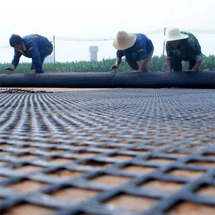 Geogrids Fiberglass Geogrid Slope Reinforcement