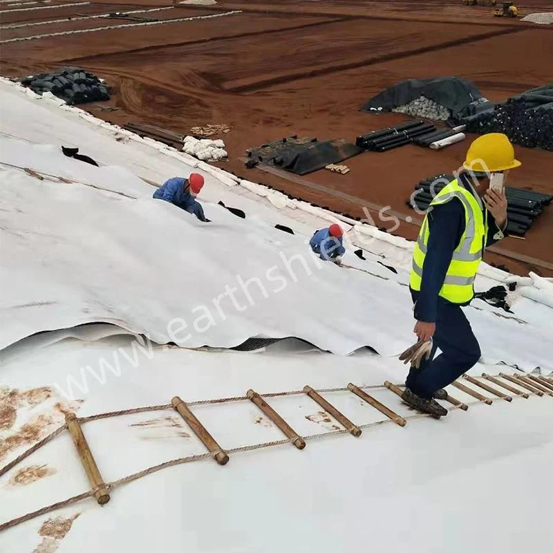 High Tensile Strength Polyester Woven Geotextile for Road/Railway Construction