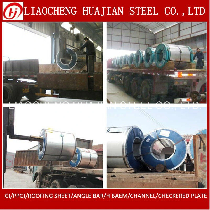 Dx51d Z100 Galvanized Steel Coil with OEM Manufacturer