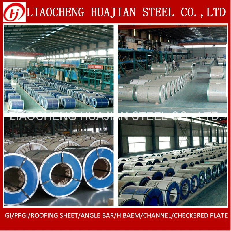 Dx51d Z100 Galvanized Steel Coil with OEM Manufacturer