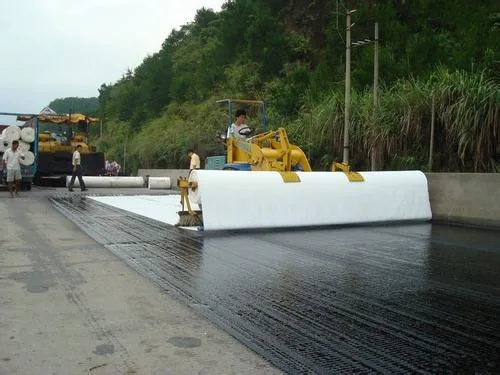 Geotextile Separation Fabric Construction Material for Environmental Project in France