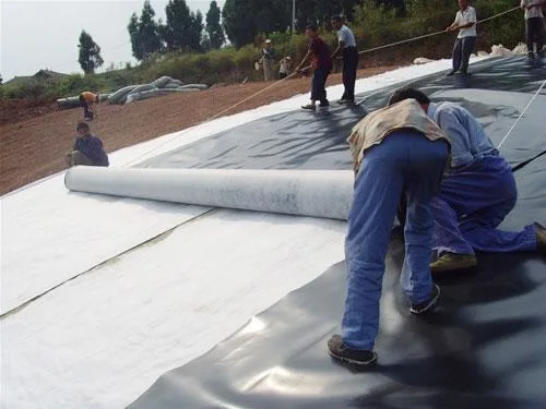 High Quality CE ISO Composite Geomembrane for Mining Project in Thailand